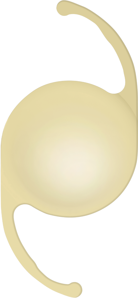 lens icon